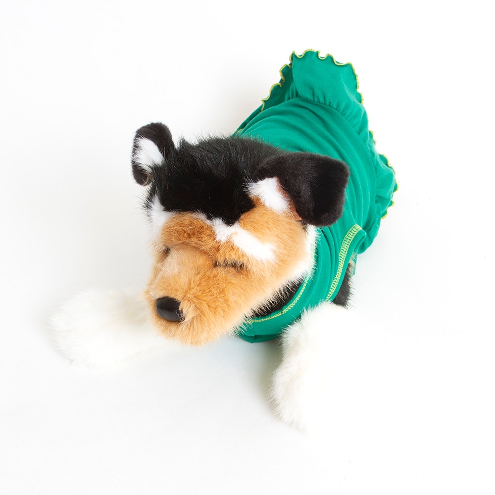 Classic Oregon O, All Star Dogs, Green, Pet Accessories, Gifts, Cheerleader Dress, Dog Coat, 606632